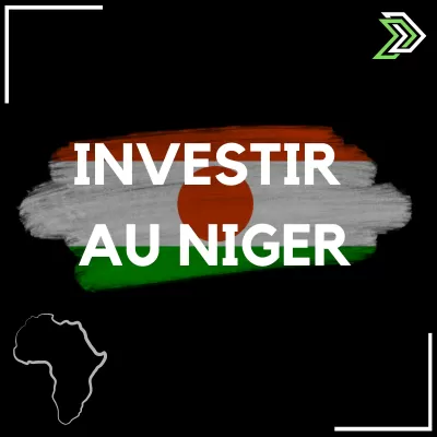 Investir au niger à l'international